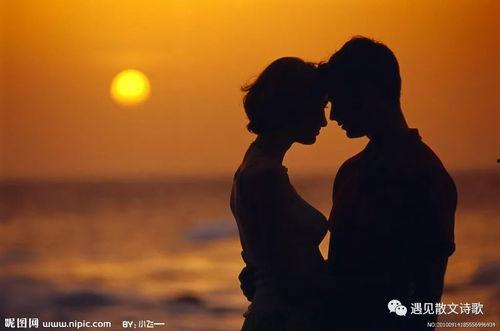 我的人在线观看,揭秘人在线观看的奇幻之旅  第2张