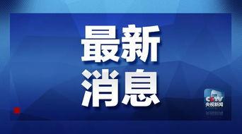 杜导最新爆料消息新闻,揭秘电影幕后故事与幕后英雄